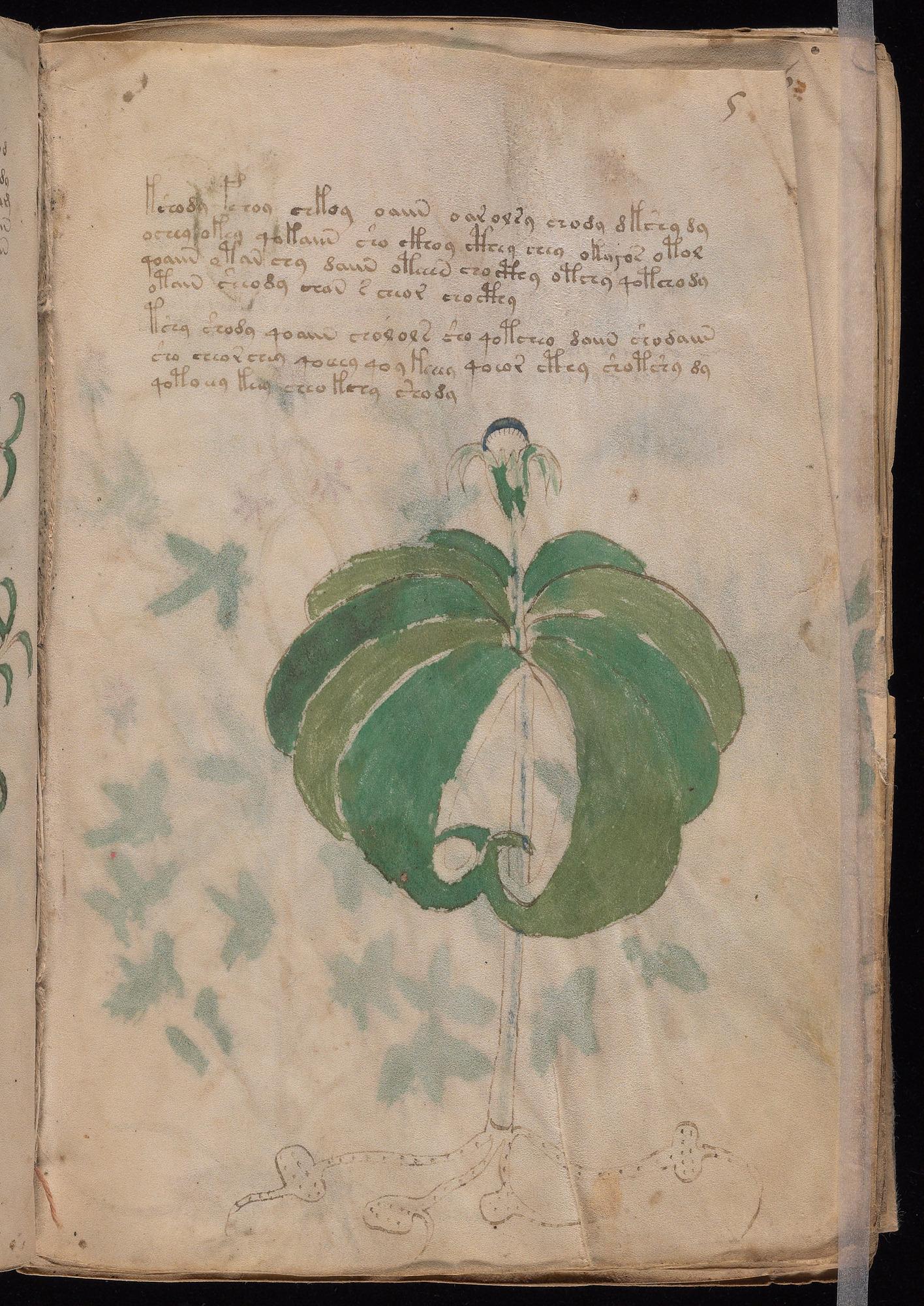 Herbal Page 9